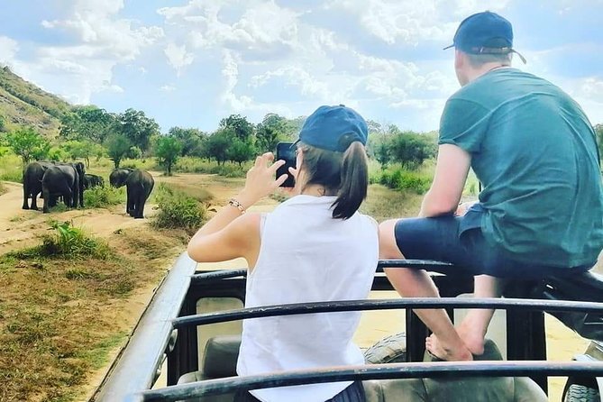 Private Jeep Safari at Minneriya National Park - Pickup in Sigiriya, Dambulla, and Habarana (and how it changes your day)