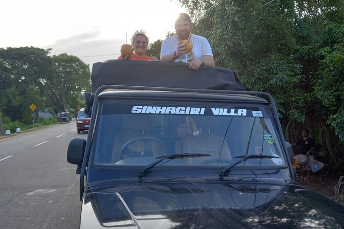 Private Jeep Safari at Minneriya National Park to Visit Elephants - Guide Skills You Can Feel: Spotting, Positioning, and Respect