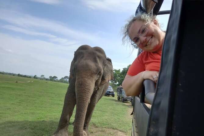 Private Jeep Safari at Minneriya National Park to Visit Elephants - Morning vs Afternoon Safari: Heat, Crowds, and Elephant Numbers