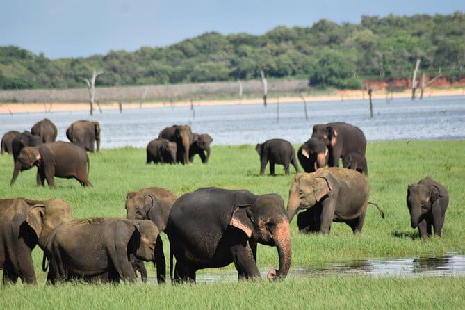 Private Jeep Safari To one of a Best National Park - Hurulu Eco Park: the shorter stop that still deserves your attention