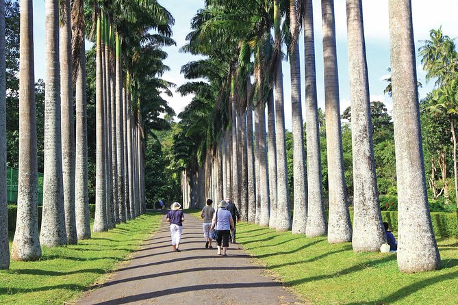 Private Kandy Tour by Air-Conditioned Car: Do it All in One Day - Kandy in a single loop: how this one-day plan works