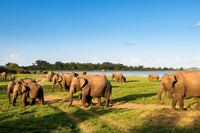 Private Multi-Day Outdoor Tour in Sri Lanka - What $375 covers (and what you’ll likely add)