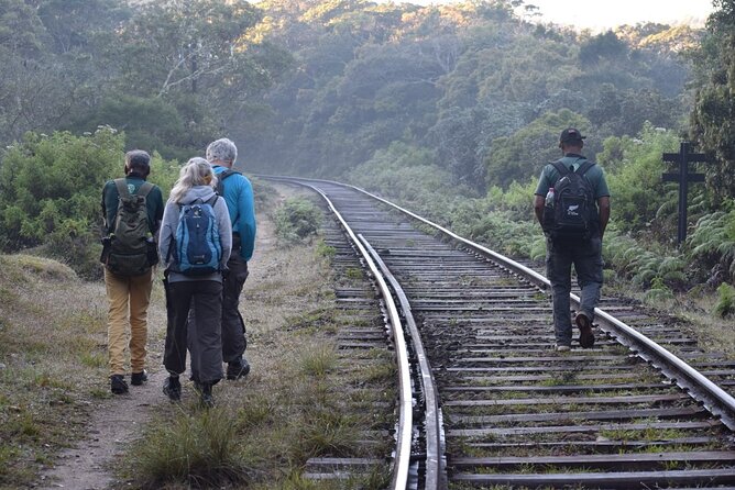 Private Multi-Day Sri Lanka Treks and Hikes Tour - Day 1 at leisure: why that matters on a hiking tour