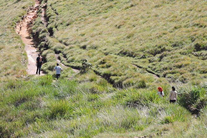 Private Multi-Day Sri Lanka Treks and Hikes Tour - Pattipola to Ohiya rail hike: mountain walking with a train thread