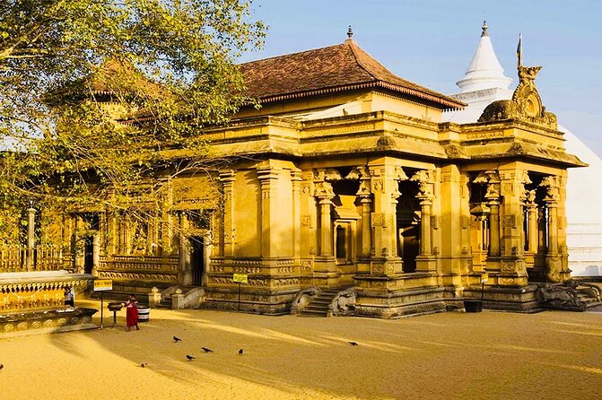 Private Night Tour in Colombo with Street Food Tasting - Stop 5: Viharamahadevi Park near the Town Hall
