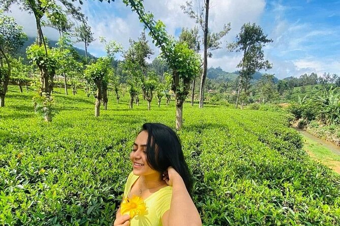 Private Ravana Falls and Nine Arches Bridge Ella Tour from Galle - Demodara to Ella by train: the ride that makes the day feel real