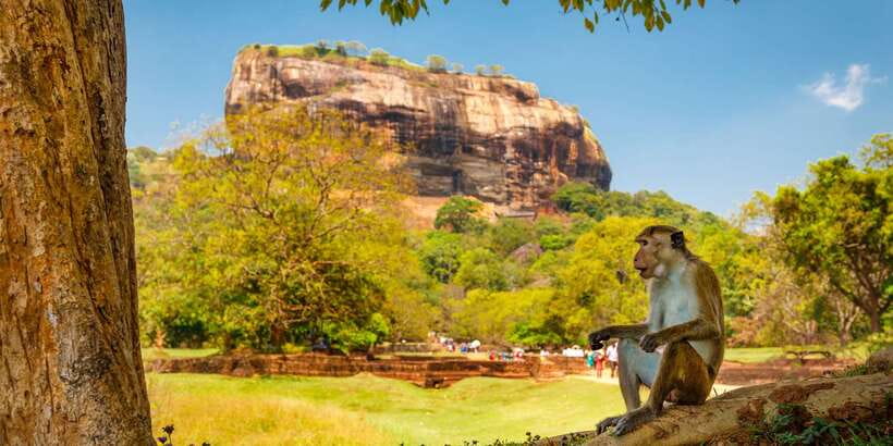 Private Sigiriya and Dambulla Day Tour from Colombo - Wood carving and batik shopping that doesn’t feel like a trap