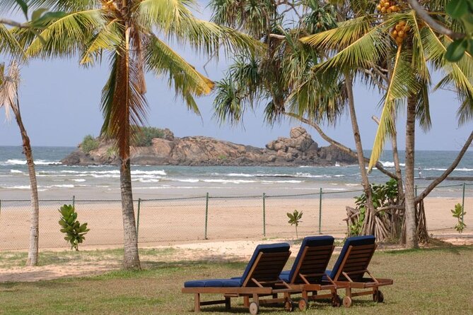 Private Taxi from Sri Lanka Airport (CMB-BIA) to The Palms Hotel Beruwala - Car comfort and “private” really means something