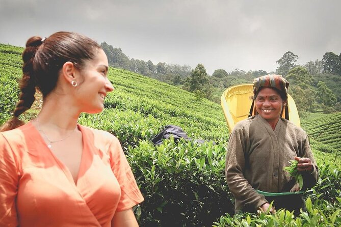 Private Tea Tour and Tea Factory - Key highlights worth your time