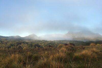 Private Tour in Horton Plains National Park & World's End Tour with Pick up - The 9 km hike: what “changing ecosystems” actually means
