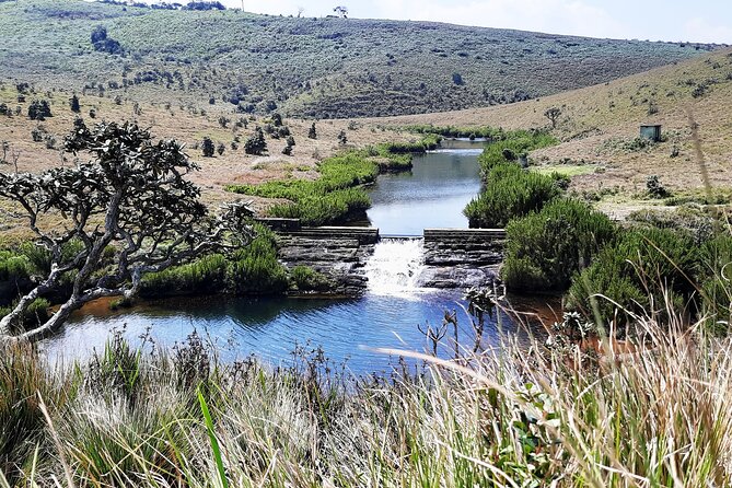 Private Tour in Horton Plains National Park ( World's End) with Pickup - Key points before you go