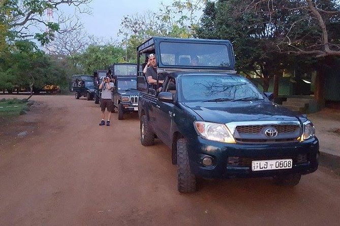Private Tour : YALA National Park with Experienced Driver and Guide - Pickup and transfers: how the logistics stay simple