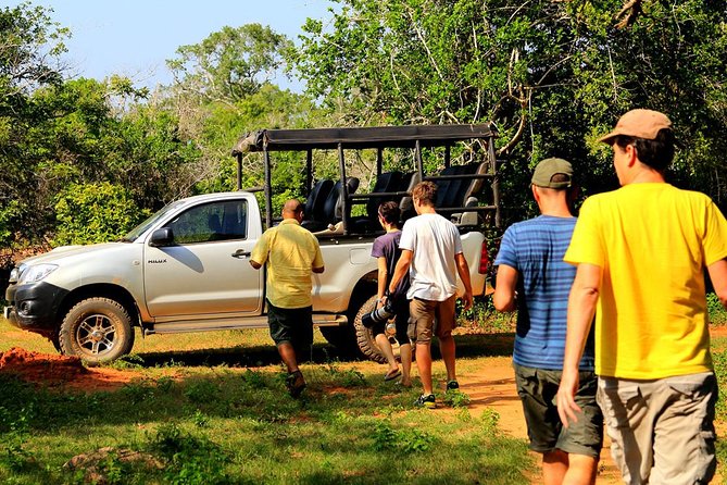 Private Tour : YALA National Park with Experienced Driver/Guide - Private jeep logistics: fewer crowds, more scanning
