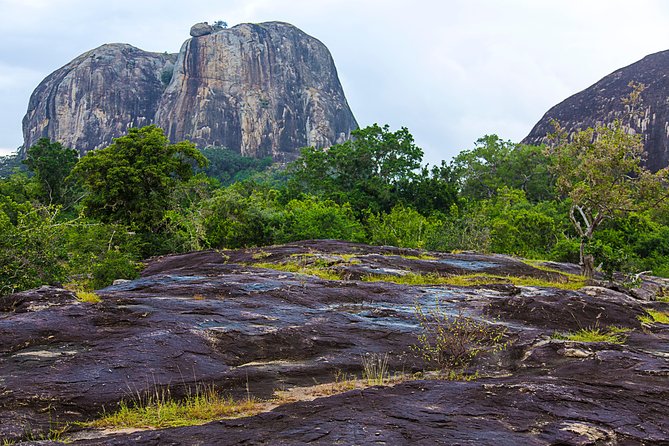 Private Tour : YALA National Park with Experienced Driver/Guide - What makes the best driver strategy show up in your day