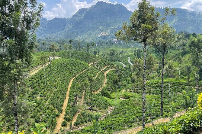 Private Transfer - Kandy to ella drop off and pick up - What’s included (and what you’ll need to bring)