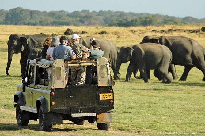 Private Trip to Sigiriya, Dambulla & safari from Colombo/ Negombo - Small concerns to clear up before you pay extra