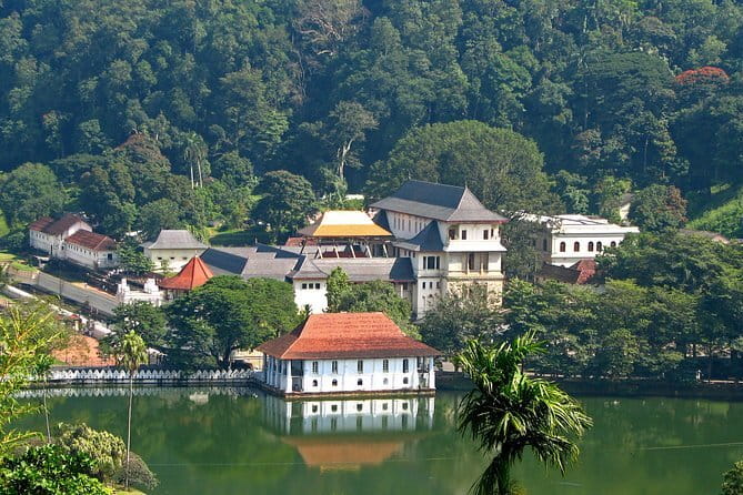 Private Tuk Tuk Tour of Kandy City & Surroundings - Stop 3: Peradeniya Botanical Garden for Real Time Outdoors