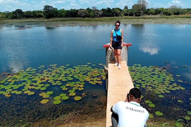 Private Wilpatu National Park Leopard safari from Colombo/Negambo - Why Wilpattu feels better than the usual leopard scramble