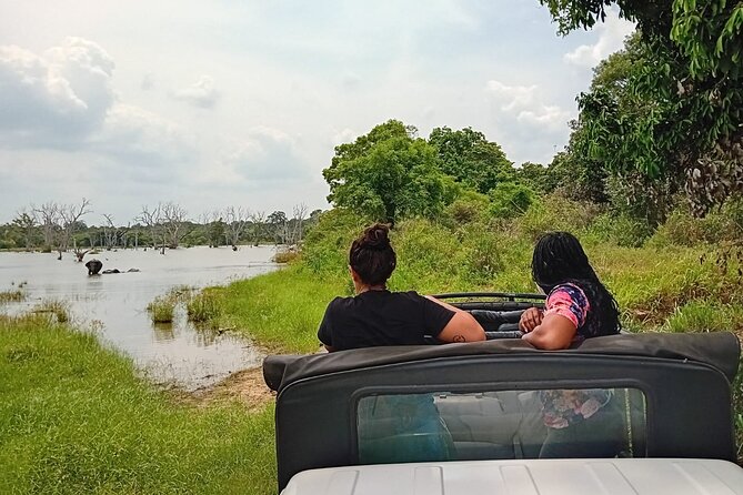 Private Wilpatu National Park Leopard safari from Colombo/Negambo - Lunch inside Wilpattu: a useful break, not a time-waster
