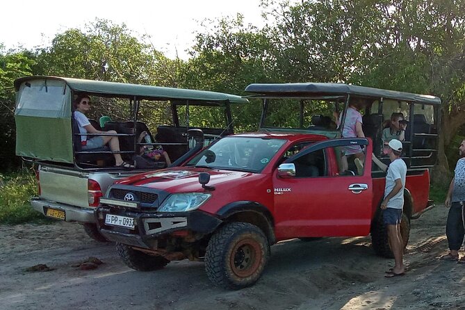 Private Wilpatu National Park Leopard safari from Colombo/Negambo - The timing: 8:30am start and a long day that’s still worth it