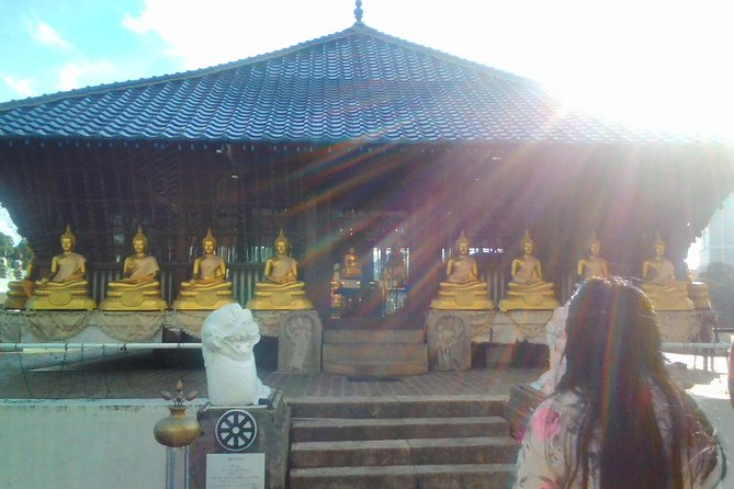 Privet Full-day Sightseeing Tour of Colombo - Price and logistics: what $100 really means for your day