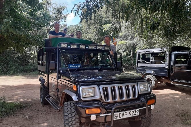 Rangiri Jeep Safari Sigiriya Lion Rock & Evening Jeep Safari - Hurulu Eco Park: a more jungle-feeling elephant safari