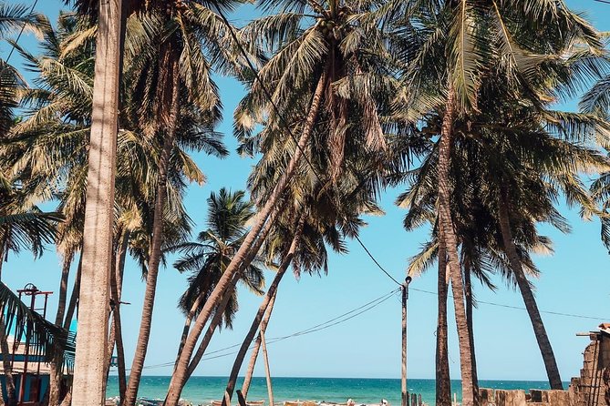 Round tour - 7days & 6nights - Why this 7-day Sri Lanka loop is such a practical plan