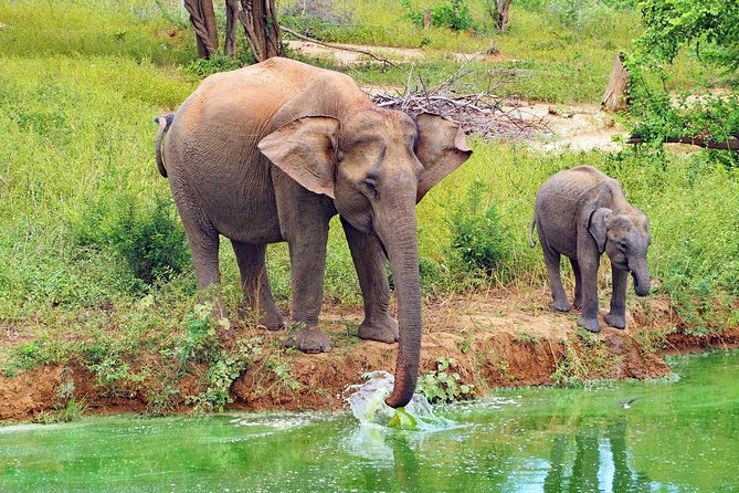 Round tour - 7days & 6nights - Colombo to Negombo: start easy, keep your energy