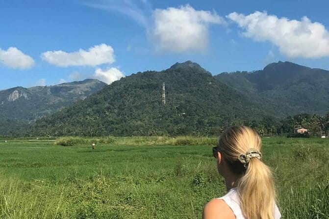 Round tour in Sri Lanka 11daysby Aaliya Tours-Hotels with H/B - Round-Trip Route: Negombo Start, Hill Country Middle, Colombo Exit