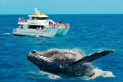 Round tour in Sri Lanka 11daysby Aaliya Tours-Hotels with H/B - Wildlife Safaris That Drive the Schedule: Minneriya and Udawalawe