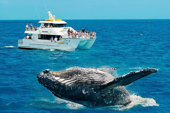 Round tour in Sri Lanka 11daysby Aaliya Tours-Hotels with H/B - Wildlife Safaris That Drive the Schedule: Minneriya and Udawalawe