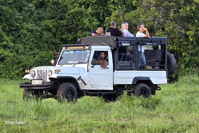 Safari Adventure in Minneriya national Park Sri Lanka - A 6:00 am Minneriya jeep safari that actually fits real wildlife time