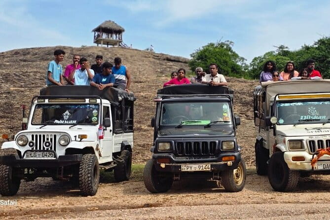 Safari Adventure in Minneriya national Park Sri Lanka - What the ride feels like in a comfortable 4x4