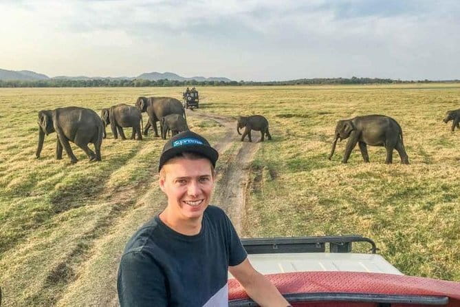 Safari Adventure in Minneriya national Park Sri Lanka - Price and value: $35 isn’t the whole number