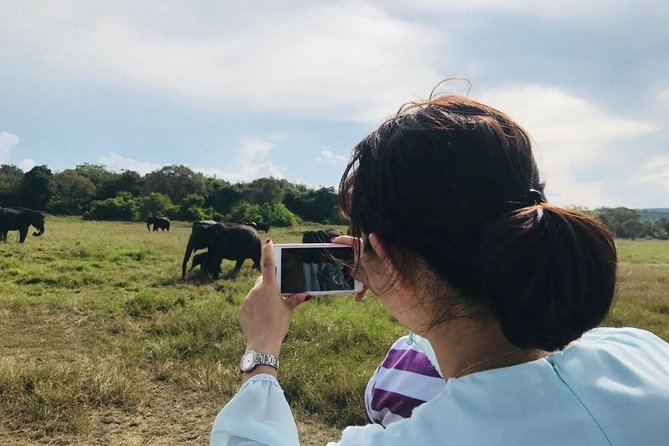 Safari Tour at Minneriya National Park - Minneriya’s big-herd setup: why the elephants show up
