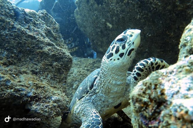 Scuba Diving at Unawatuna - Safety and support: PADI instructors plus on-hand medical staff