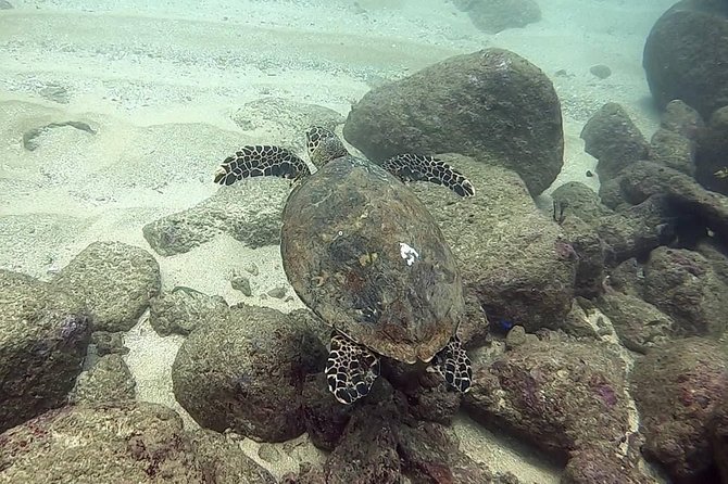 Scuba Diving at Unawatuna - Meeting on Yaddehimulla Road: simple start, near transit