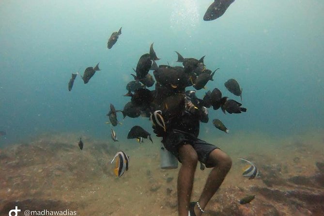 Scuba Diving at Unawatuna - Who should book this Unawatuna scuba session