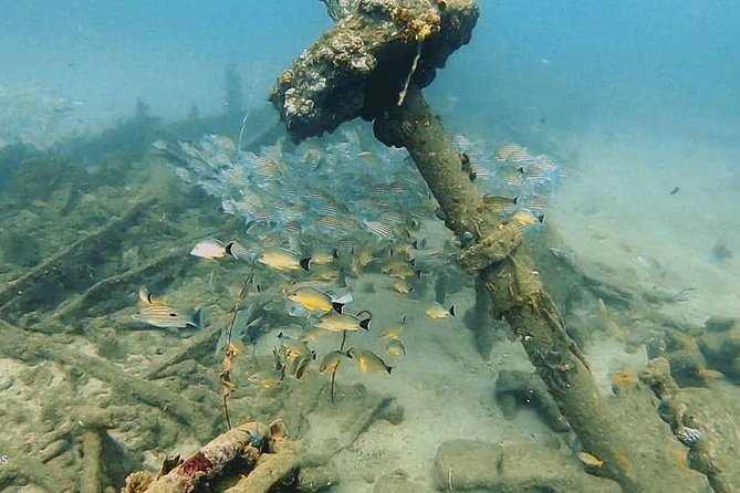 Scuba Diving at Unawatuna - My take: the kind of operator you want when you’re new