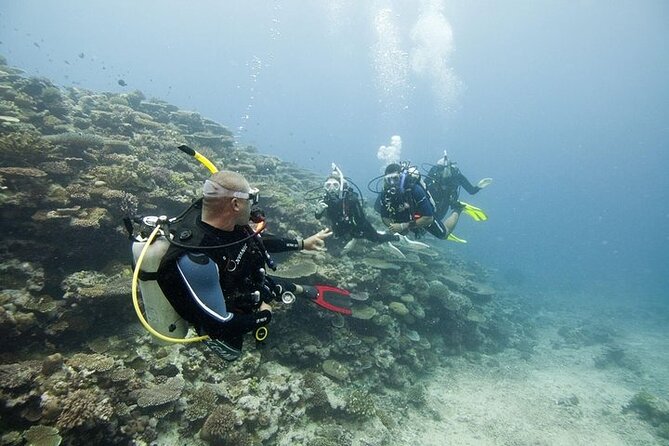 Scuba Diving For Beginners - Instructors Matter More Than Gear (And Here They’re Named)