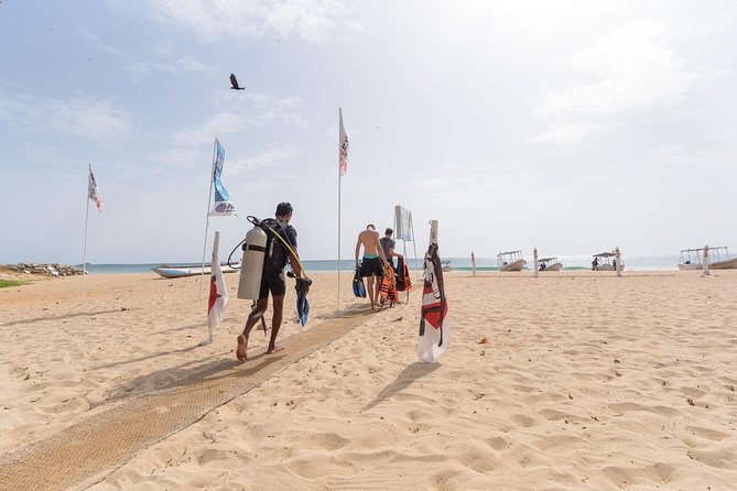 Scuba Diving For Beginners - Price and Value: Does $84.37 Really Add Up?