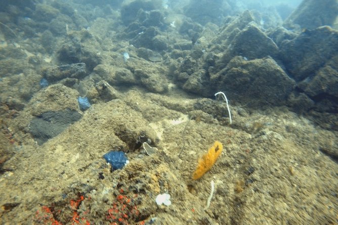 Scuba Diving in Mirissa - Getting ready in Mirissa: what your morning should feel like