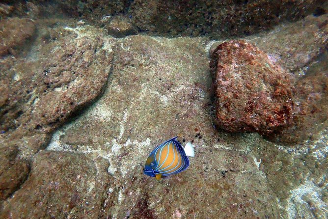 Scuba Diving in Unawatuna - Equipment and instruction: the part that makes first-timers comfortable