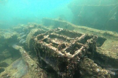 Scuba Diving in Unawatuna - The small-group advantage (max 5) and how it affects your confidence