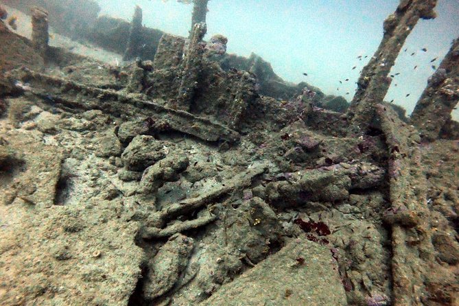 Scuba Diving in Unawatuna - Underwater photos: bring a plan, not just a phone
