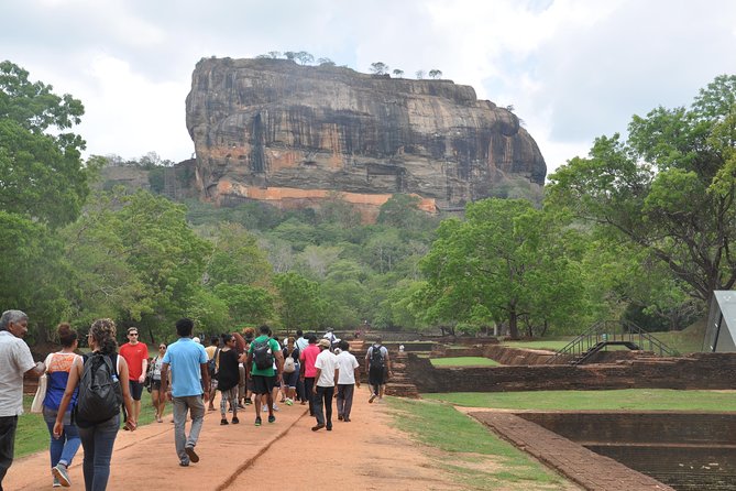 Sigiriya and Dambulla from Negombo - Price and value: what $83 covers, and what to double-check