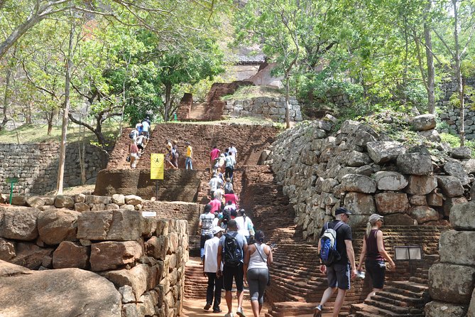 Sigiriya and Dambulla from Negombo - What the chauffeur-guide changes (and why it shows in reviews)