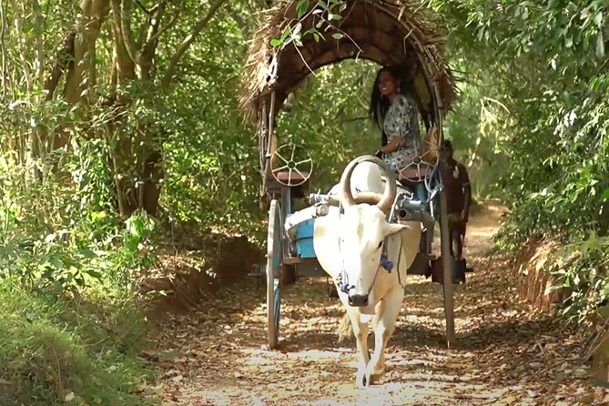 Sigiriya and Dambulla Private Day Tour by Tuk-Tuk or Car - How this private day tour flows from Sigiriya or Habarana