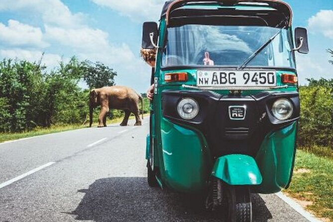 Sigiriya and Dambulla Private Day Tour by Tuk-Tuk or Car - Sigiriya Rock: why the guide coverage is worth it