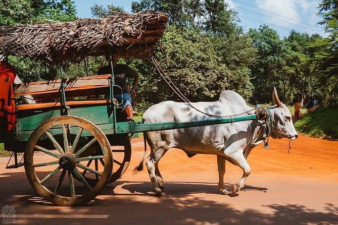 Sigiriya and Dambulla Private Full-Day Guided Tour - Private transport from pickup to parking: comfort that actually matters